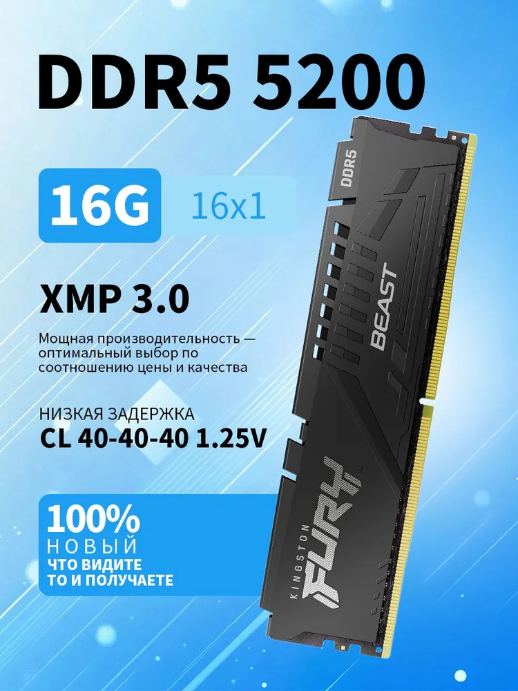 Оперативная память Fury Beast Black，DIMM DDR5, 5200 МГц, 1 x 16 ГБ (KF552C40BB-16-SP)